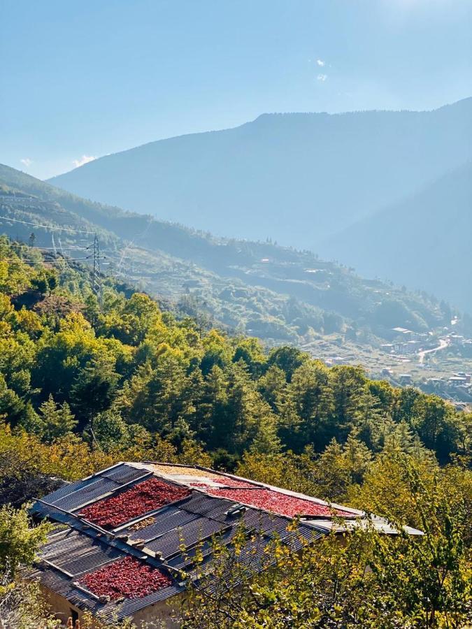 Hotel The Postcard Dewa, Thimphu, Bhutan Extérieur photo